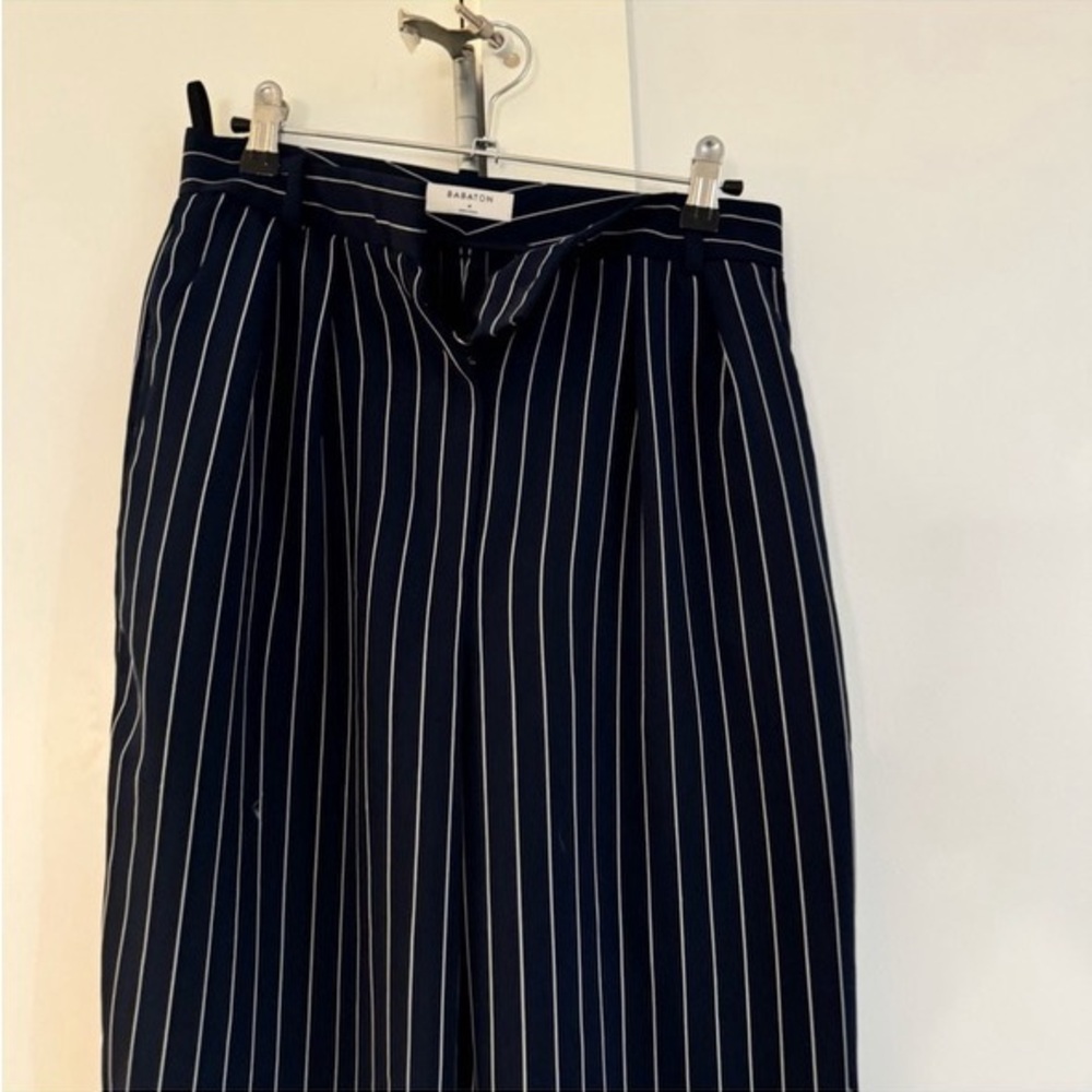 Aritzia Babaton Pleated Trousers Size 4